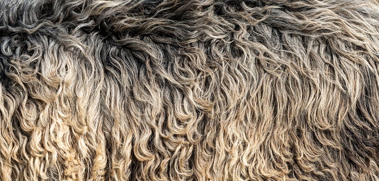 304不銹鋼做RoHS檢測需要檢測哪些項(xiàng)目?歐盟ROHS認(rèn)證是什么 做外貿(mào)的朋友快來了解一下