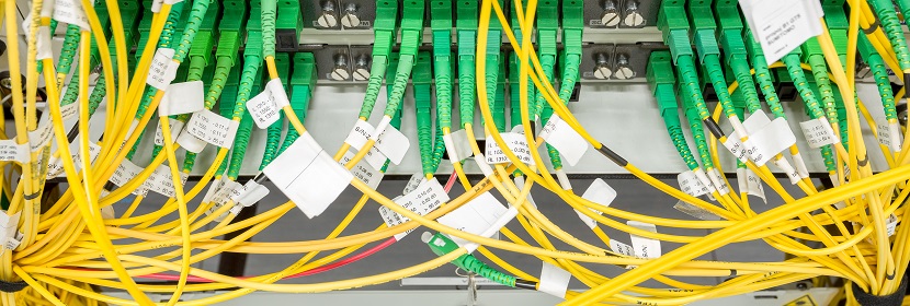 公共衛生考研，這是最好的時期！??！?【2022為民實事系列評論】筑牢公共衛生防護網，是須臾不可放松的大事 健明迪檢測