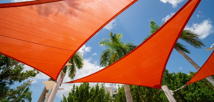 藏紅花檢測(cè)