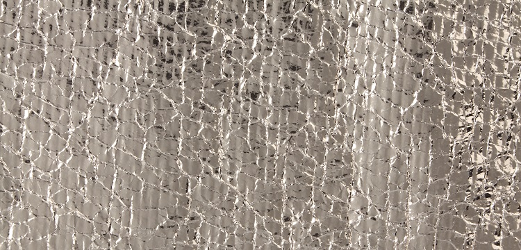 大鼠頸髓挫傷模型