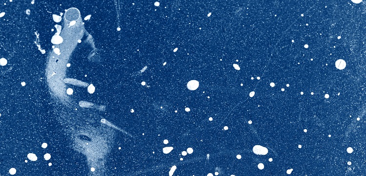 辛基縮水甘油醚檢測(cè)