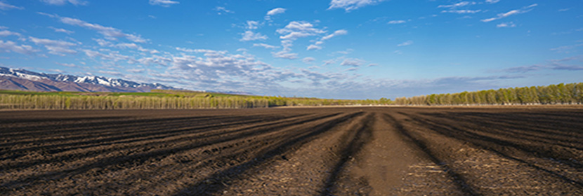 剝離劑檢測(cè)