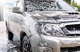 錦葵色素檢測(cè)