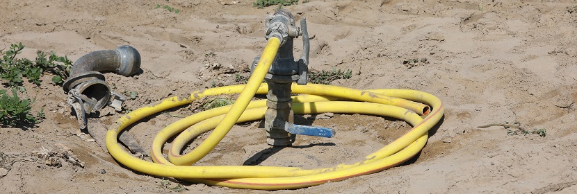 浮萍生長(zhǎng)抑制試驗(yàn)