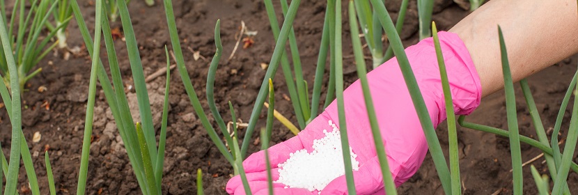 聚合物硫包衣尿素檢測(cè)