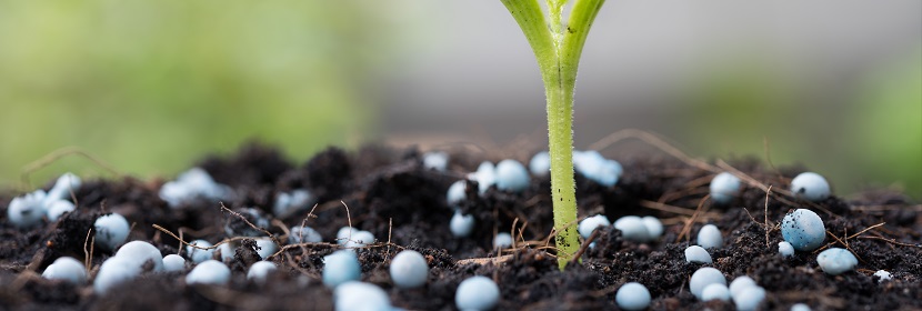 高爾夫球場草坪專用土壤調理劑檢測