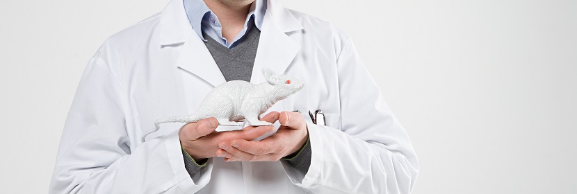 動物急性經口毒性試驗