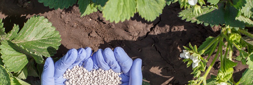 根瘤菌肥料檢測(cè)