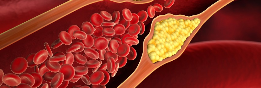 化妝品體內(nèi)哺乳動(dòng)物細(xì)胞微核試驗(yàn)