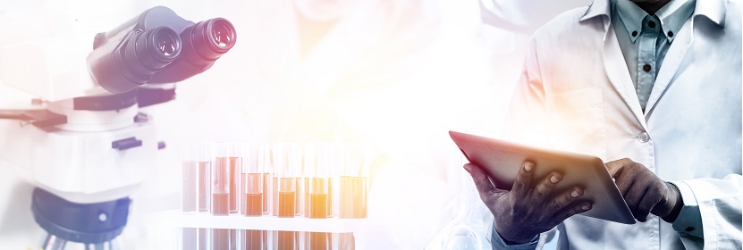 熱熔類二聚酸型聚酰胺膠粘劑檢測